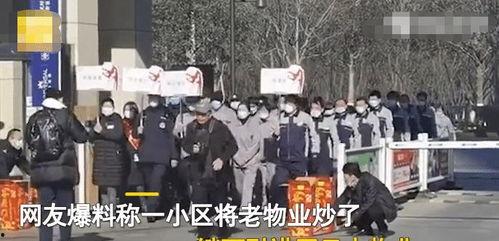 苏州小区物业最新爆料,揭秘社区生活那些事儿